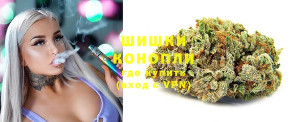 гидра Грязовец