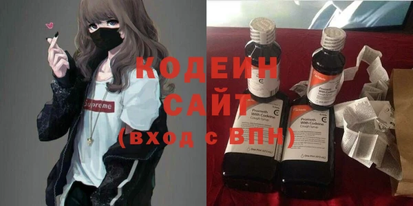 МДПВ Пересвет