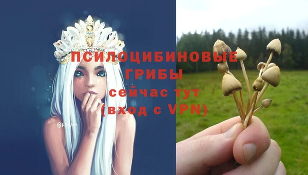 сатива Пестово