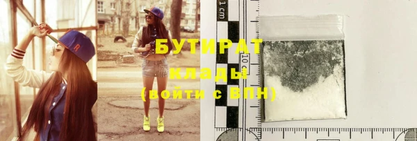 гидра Грязовец