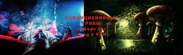 МДПВ Пересвет