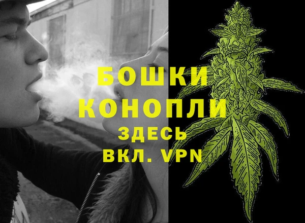 гидропоника Грязи