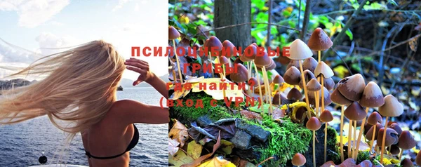 МДПВ Пересвет