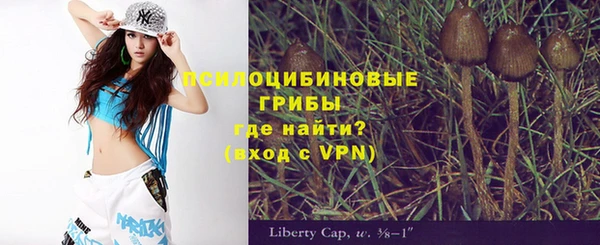 МДПВ Пересвет