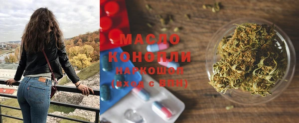 МДПВ Пересвет
