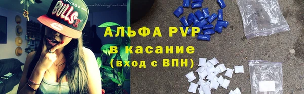 МДПВ Пересвет
