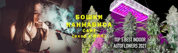 сатива Пестово